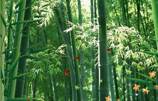 大自然沁人心脾的新鮮空氣，在家也能呼吸到